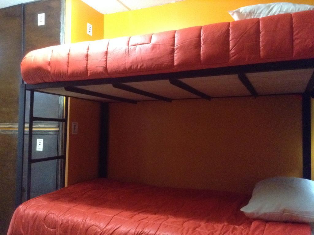 Hostel 399 Conejos Y Yo Мехико Номер фото