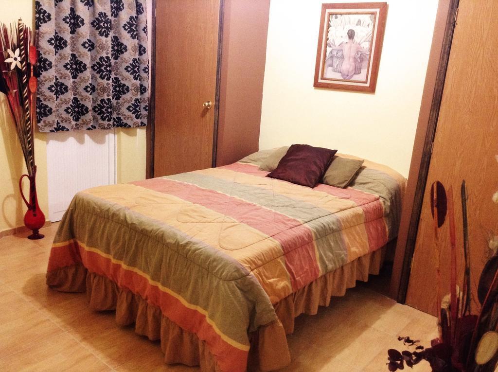 Hostel 399 Conejos Y Yo Мехико Номер фото
